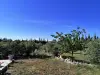 Grand terrain de la vente de notre maison d'hôte - gîte à vendre avec piscine à Perpignan (27).webp